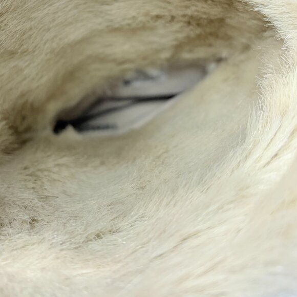 Sorel women's Tivoli high snow boots 7 green grey - Picture 10 of 11